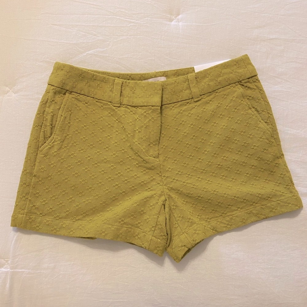 LOFT | NWT Shorts